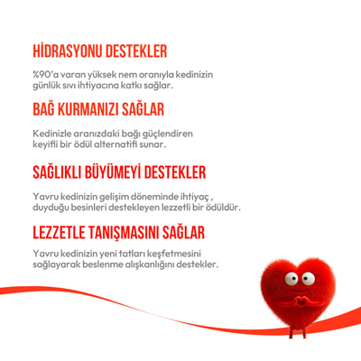 Wanpy Somonlu 12'li - Yavru Kedi Krema Ödülü 5x14 g - Thumbnail