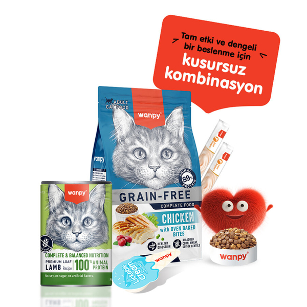 Wanpy Tahılsız Kedi %100 Gerçek Et 375 gr Kuzulu Konserve 12 Adet