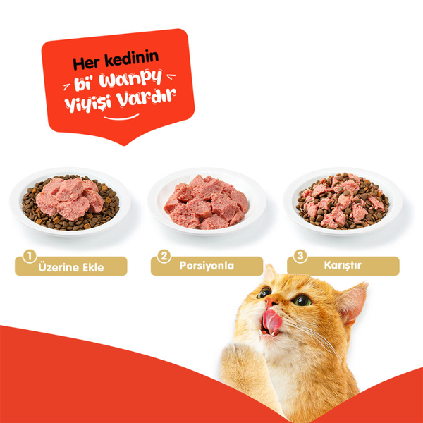 Wanpy Tahılsız Kedi %100 Gerçek Et 375 gr Ton Balıklı Konserve 12 Adet