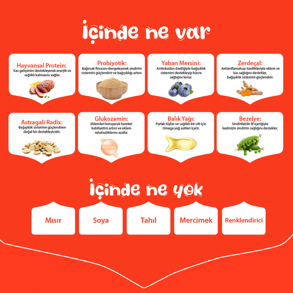 Wanpy Tahılsız Ördekli Yetişkin Köpek Maması 1,5 kg