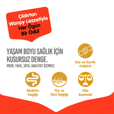 Wanpy Tahılsız Sığır Etli Yetişkin Köpek Maması 1,5 kg - Thumbnail