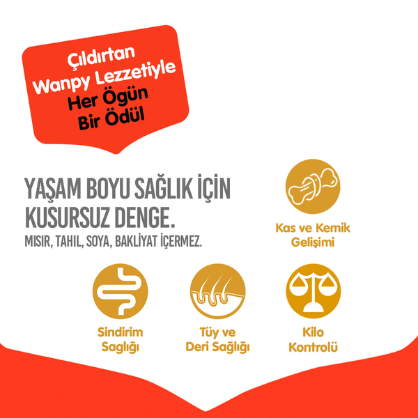 Wanpy Tahılsız Sığır Etli Yetişkin Köpek Maması 1,5 kg