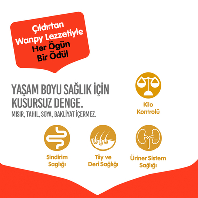 Wanpy Tahılsız Somonlu Yetişkin Kedi Maması 1,5 kg - Thumbnail