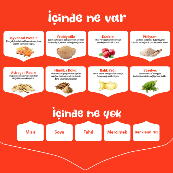 Wanpy Tahılsız Somonlu Yetişkin Kedi Maması 8 kg