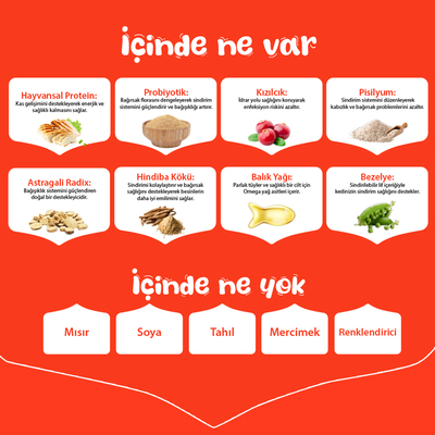 Wanpy Tahılsız Tavuklu Yetişkin Kedi Maması 1,5 kg - Thumbnail