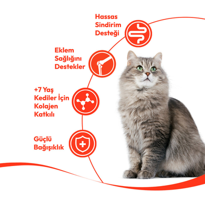 Wanpy Tavuklu & Ciğerli 12’li – 7+ Yaş Kedi Krema Ödülü 5×14 g - Thumbnail