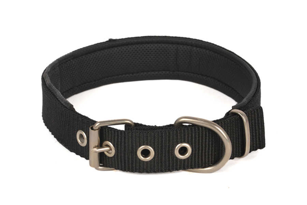 Yumuşak Doku Boyun 2,5*55 cm