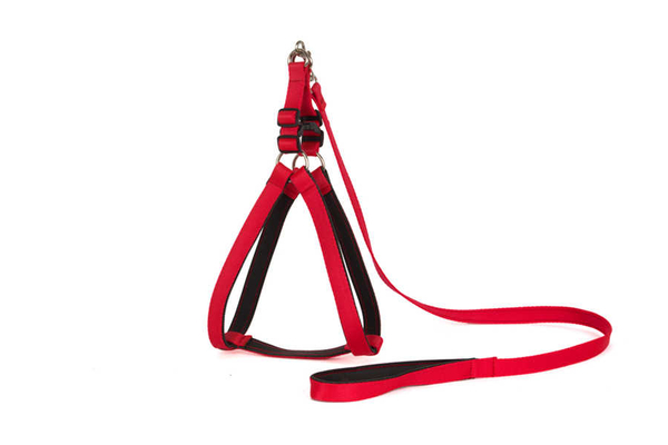 Yumuşak Doku Göğüs Tkm No:1