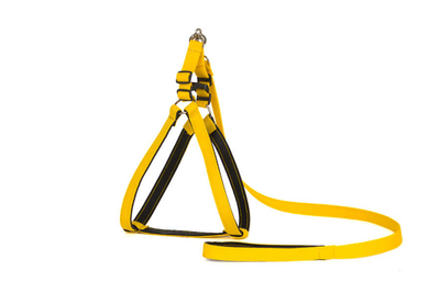 Yumuşak Doku Göğüs Tkm No:1 - Thumbnail